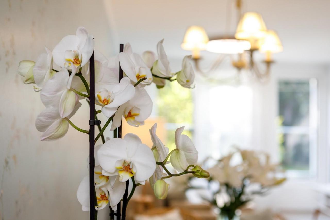 Veronikapartman - Brand New & Cozy - With Underground Garage Heviz Ngoại thất bức ảnh